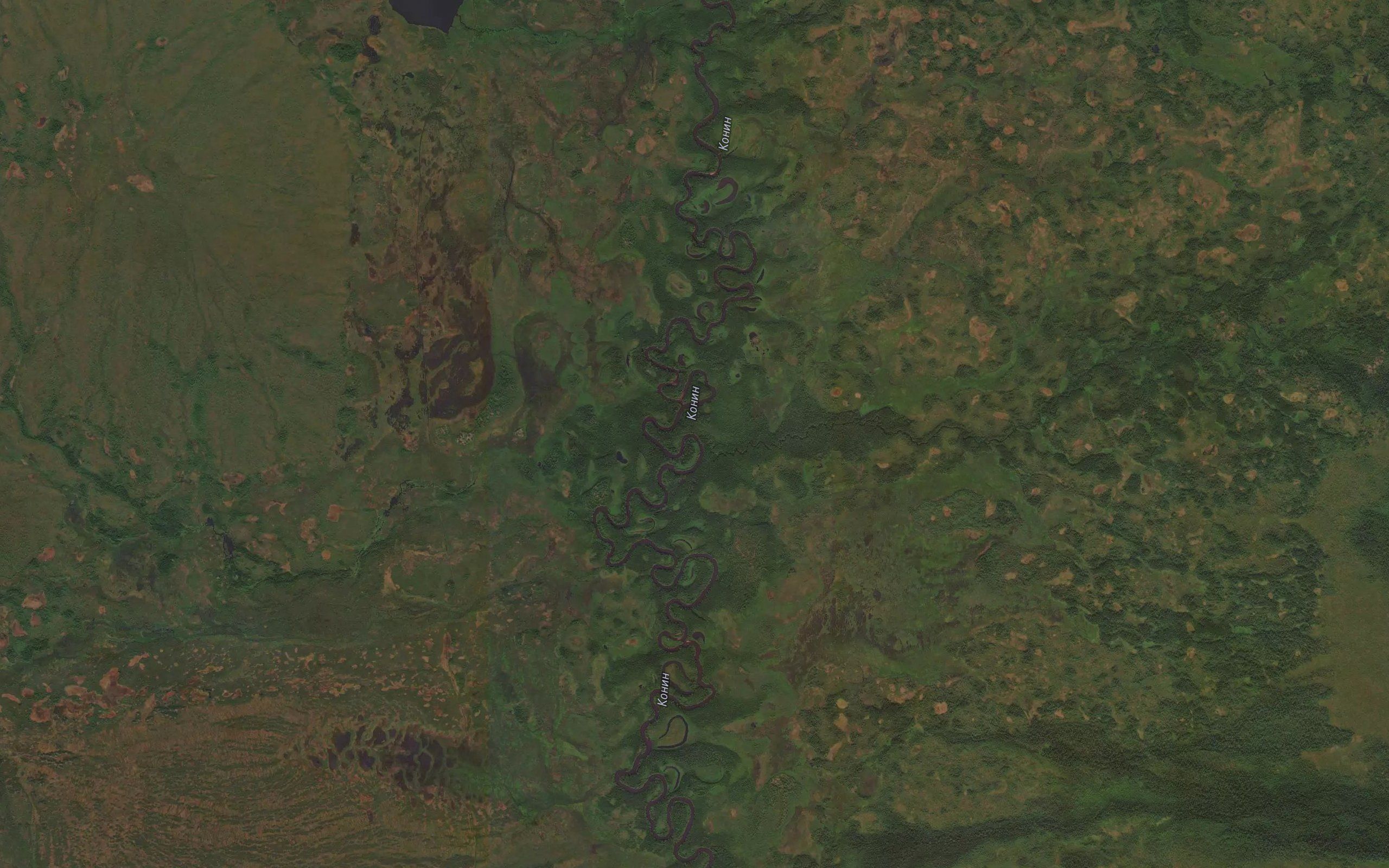 Nizhniy Konin