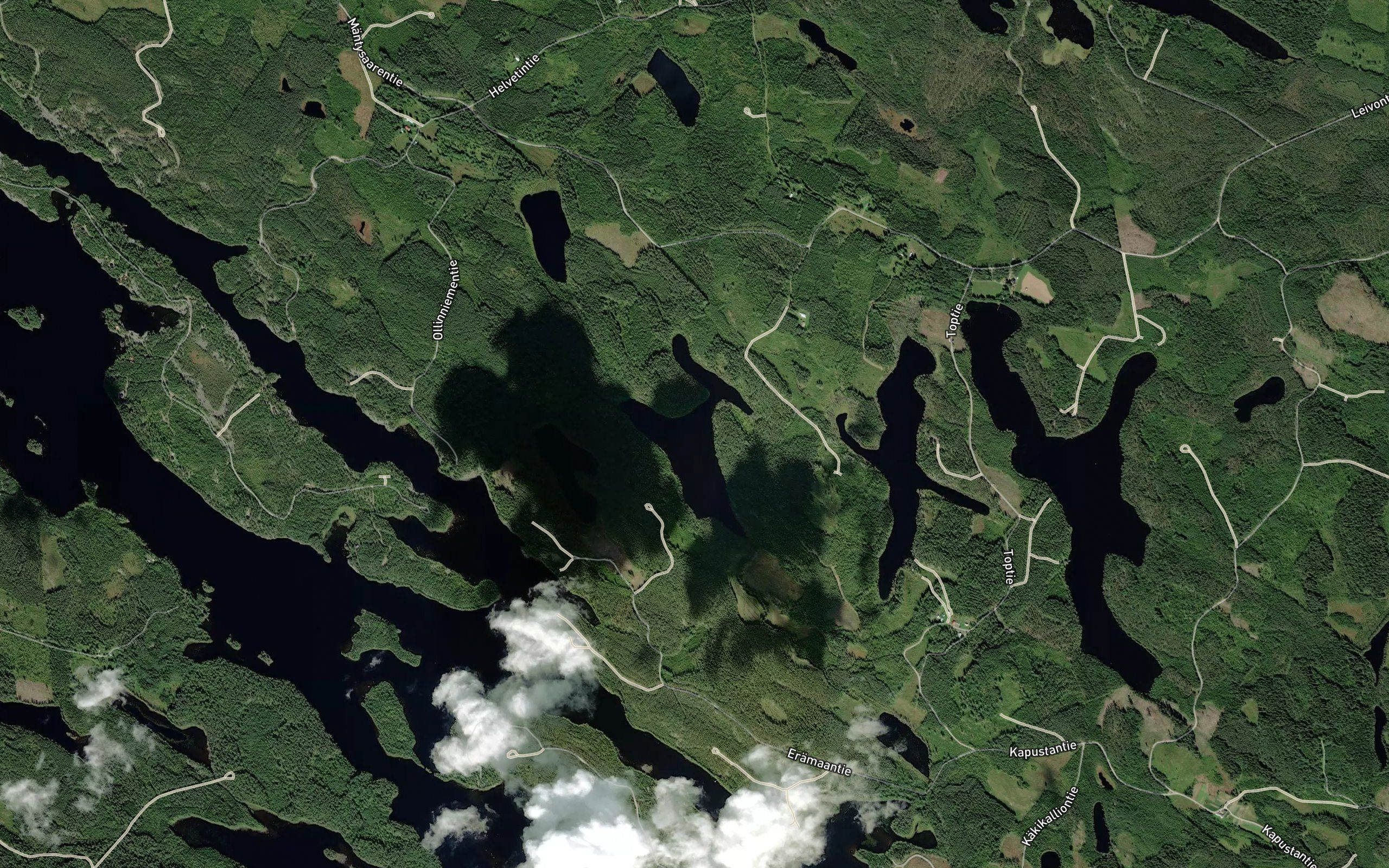 Suuri Tervalampi