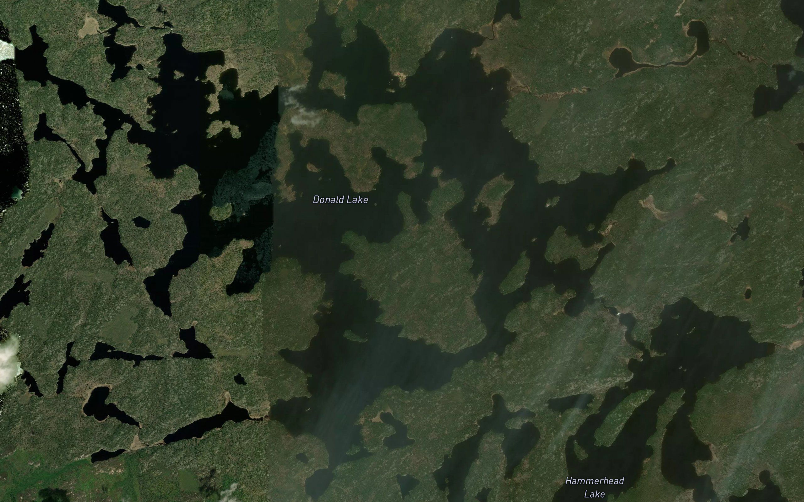 Donald Lake