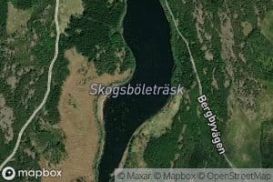 Skogsboletrasket