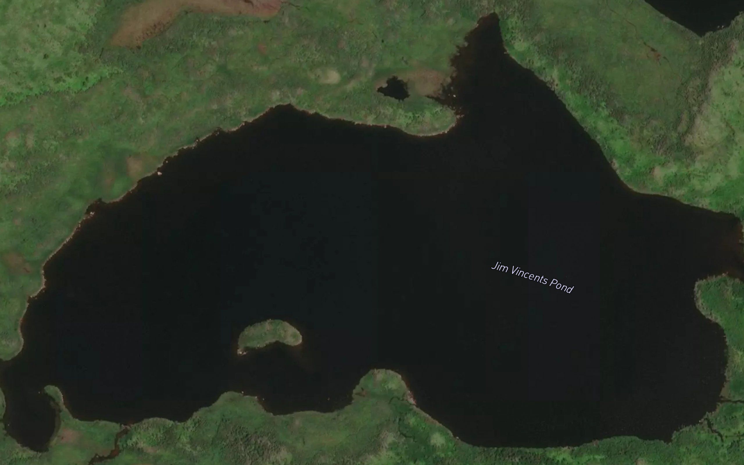 Jim Vincents Pond