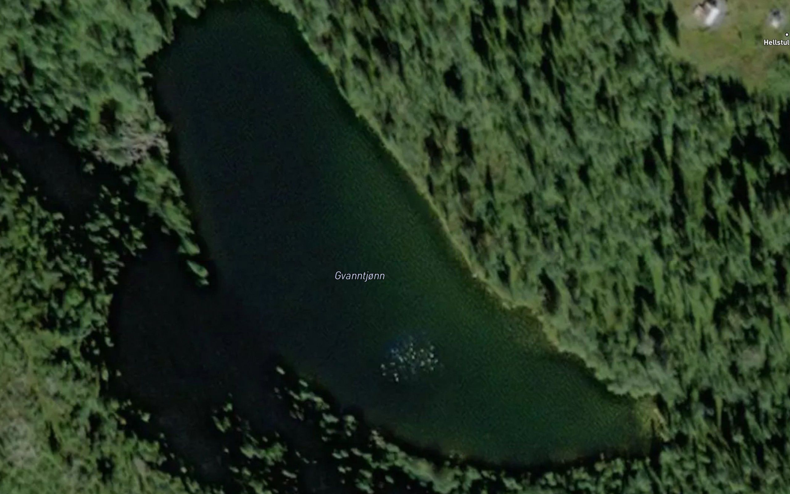 Gvanntjorn