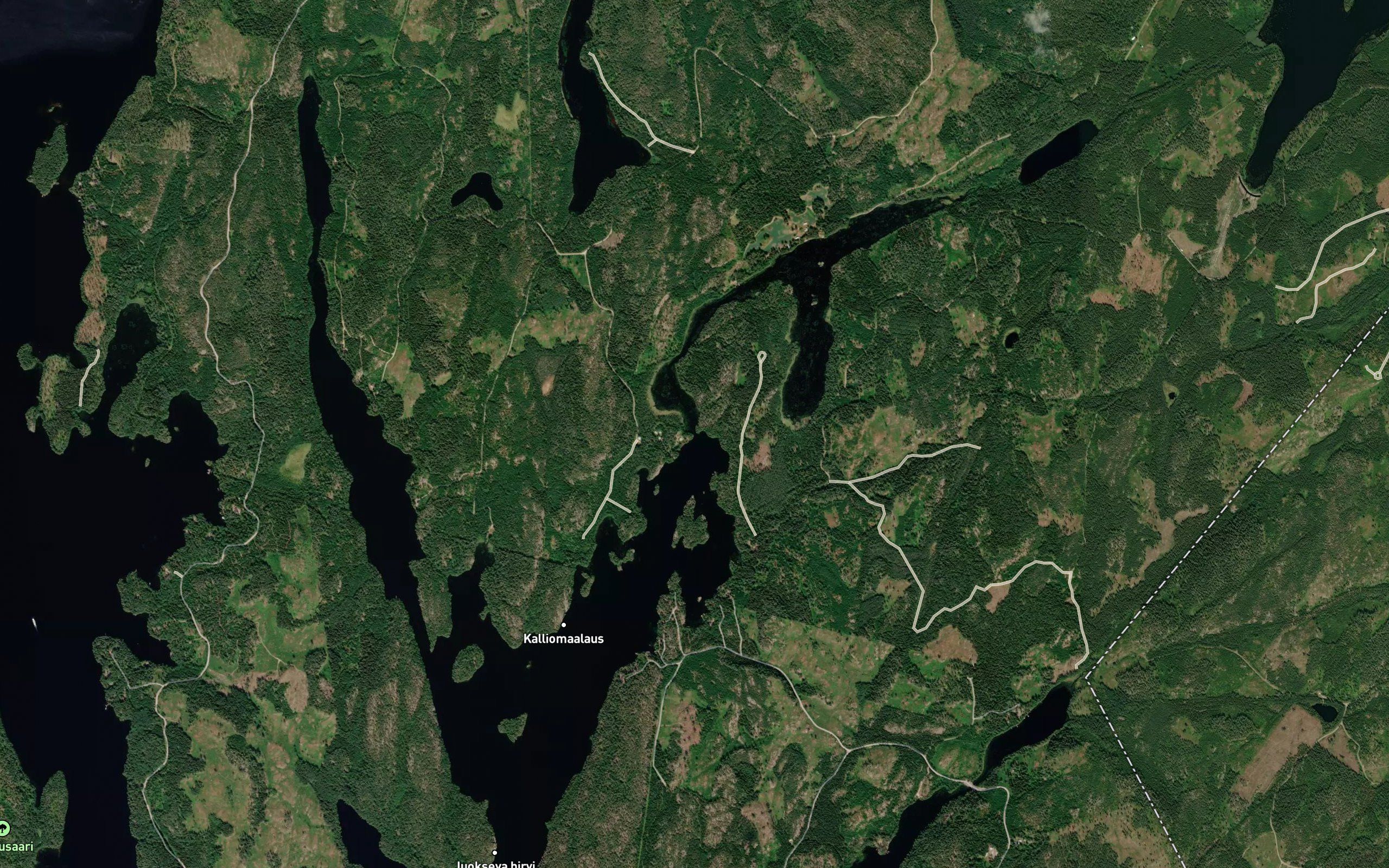 Suusalmi