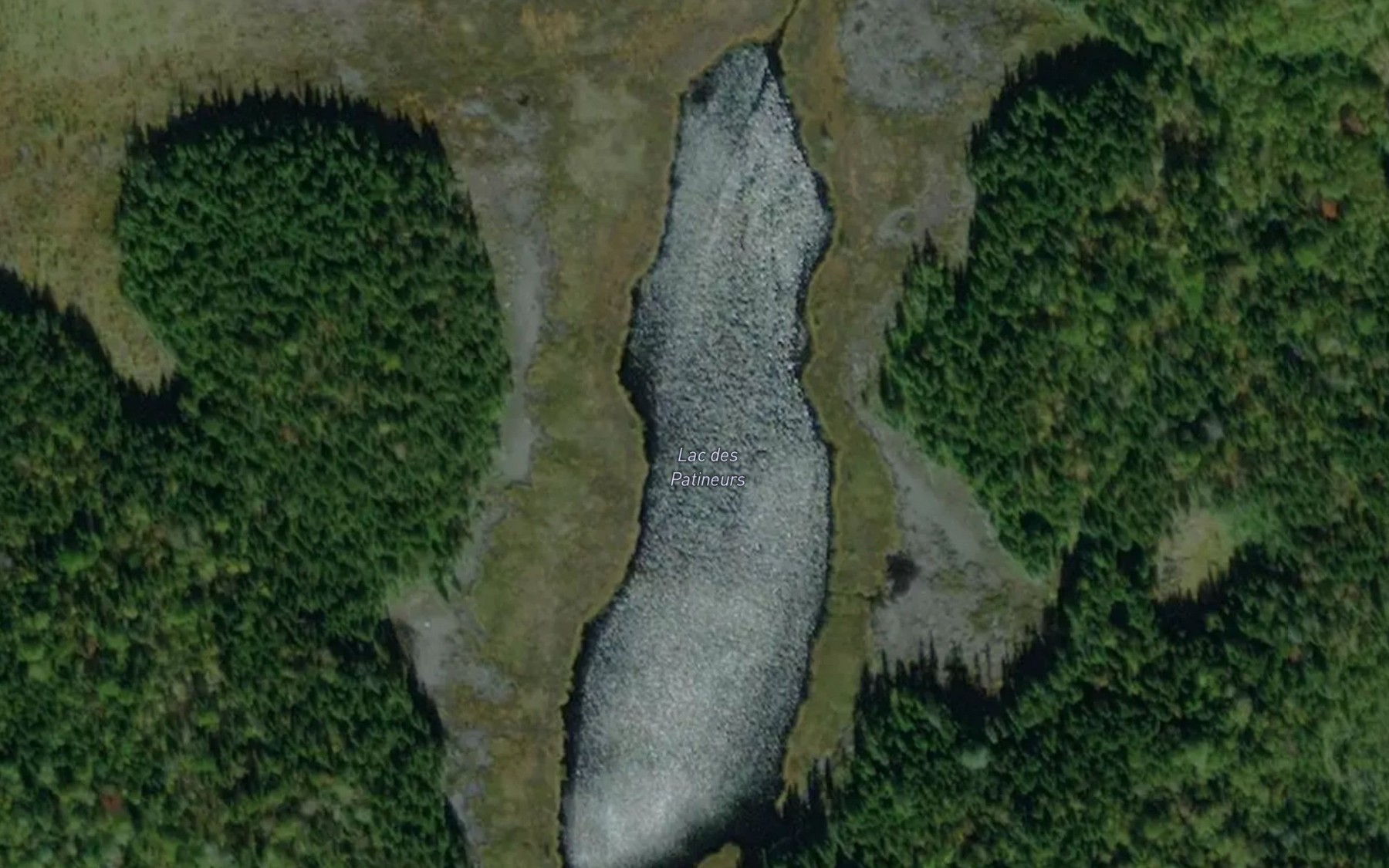 Satellite map of the Lac des Patineurs
