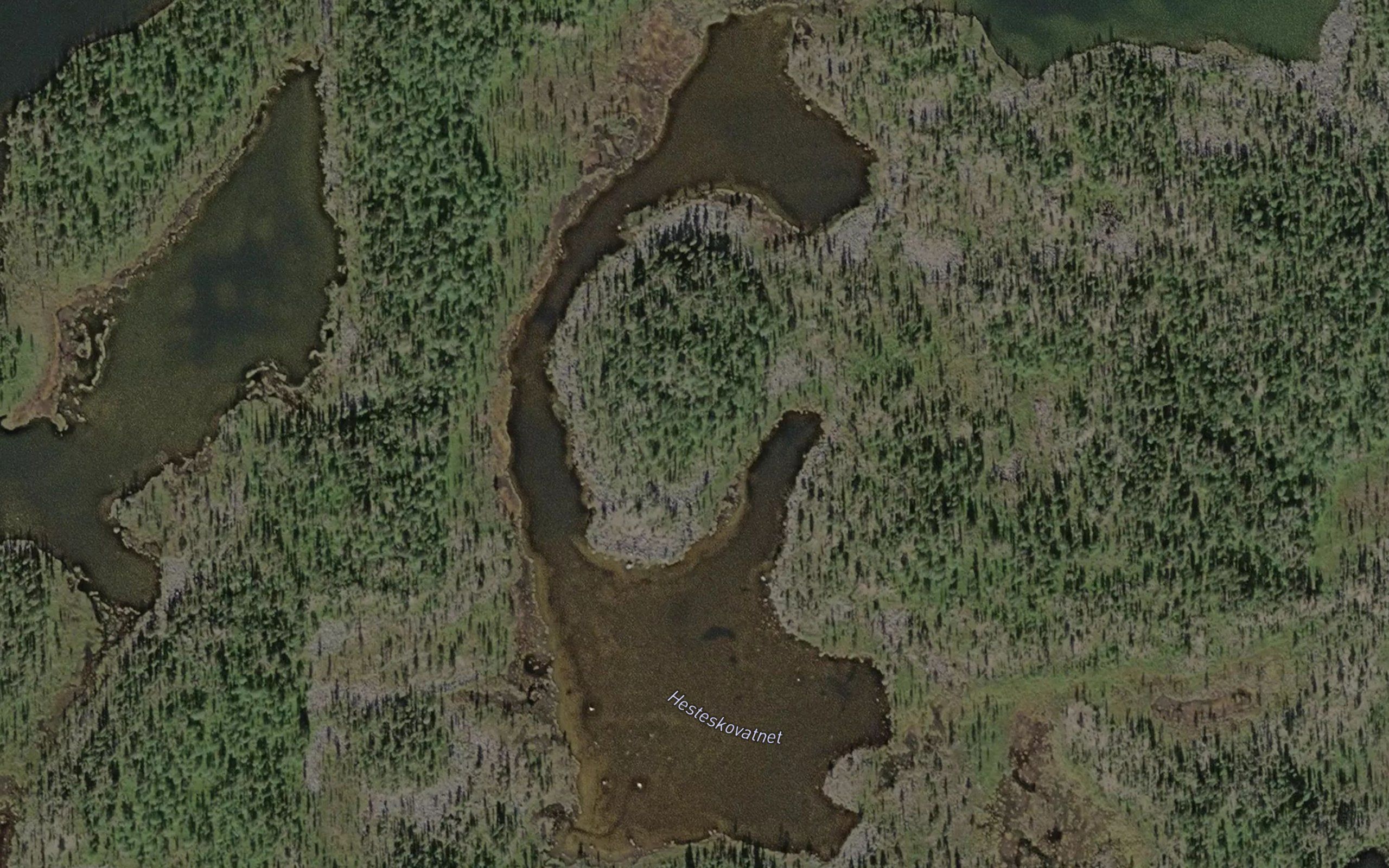 Hesteskovatnet