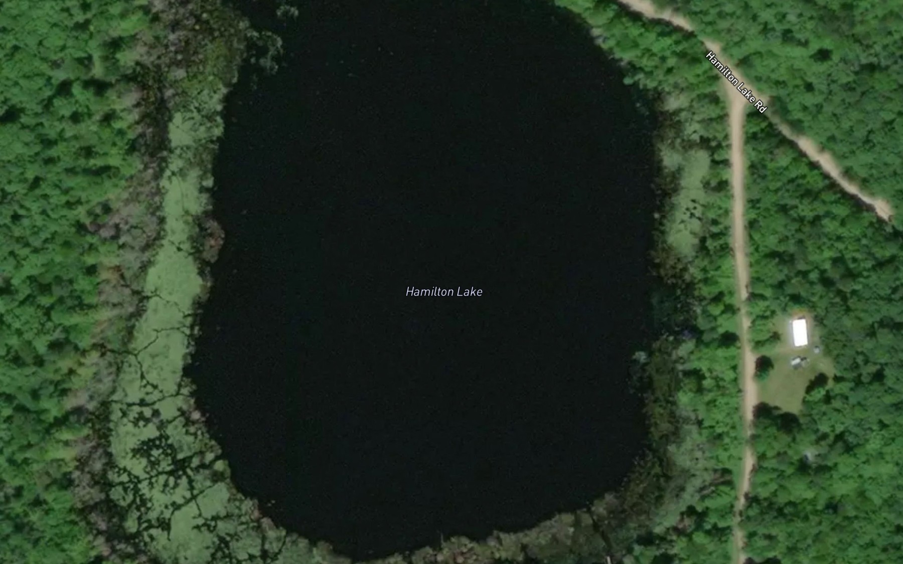 Satellite map of the Hamilton Lake