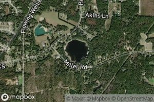 White Pond