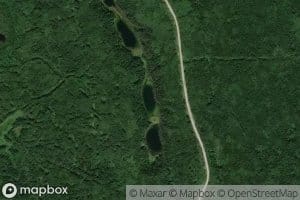 Blue-winged Teal Lake