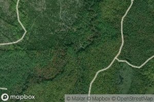 Widgeon Creek