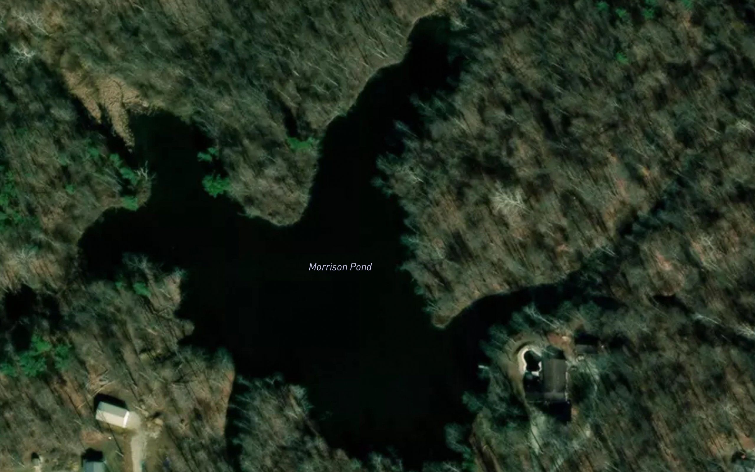 Morrison Pond