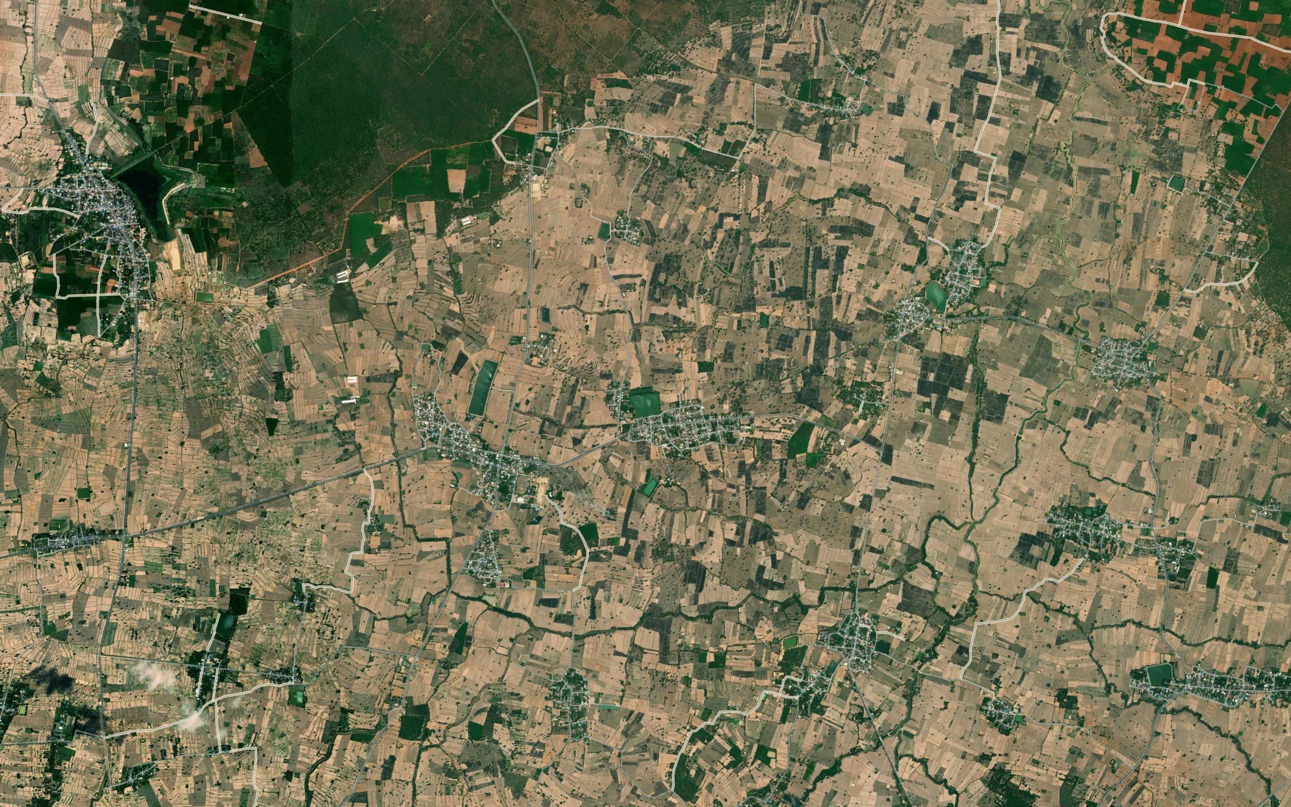 Nong Yai