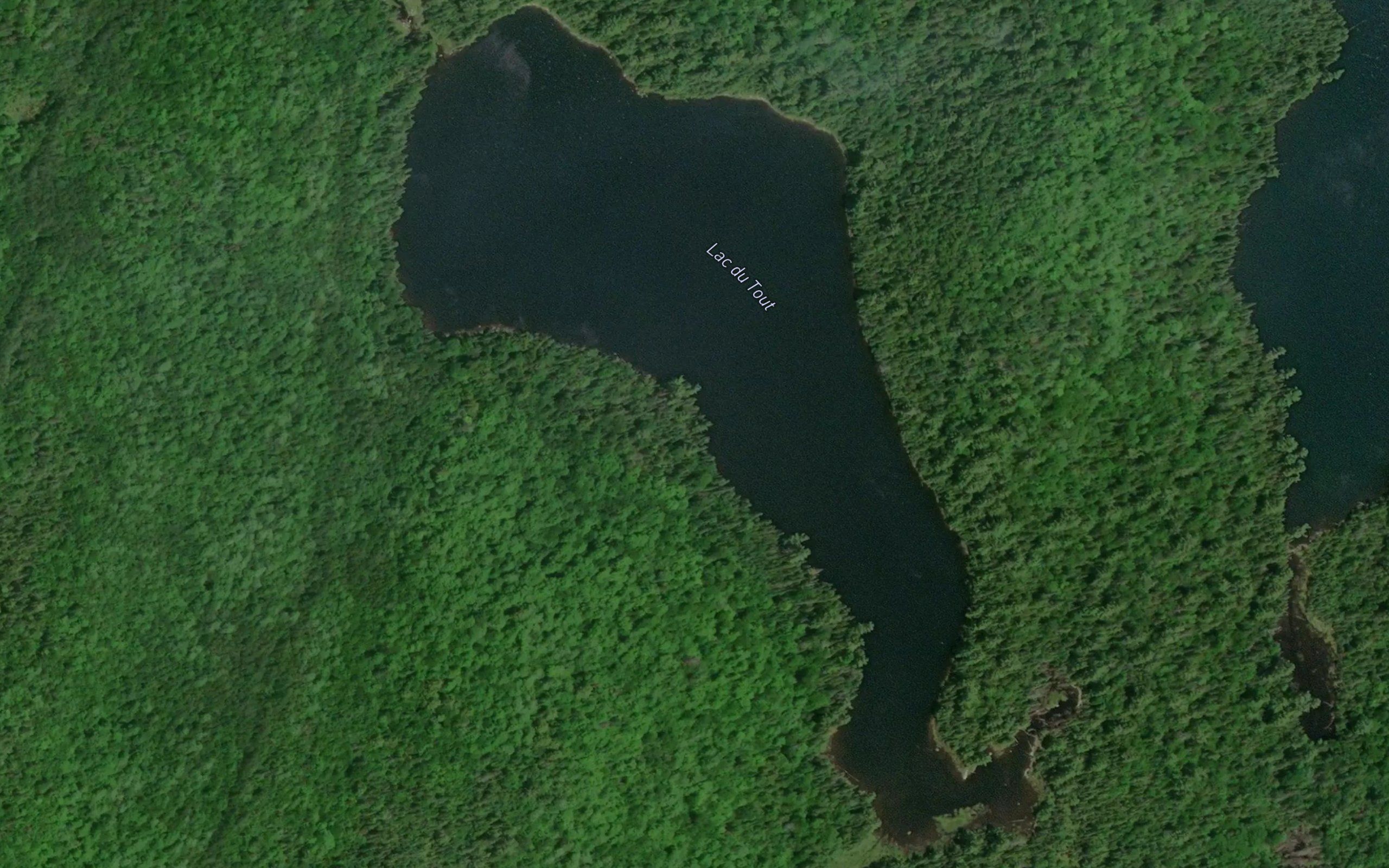 Lac du Tout