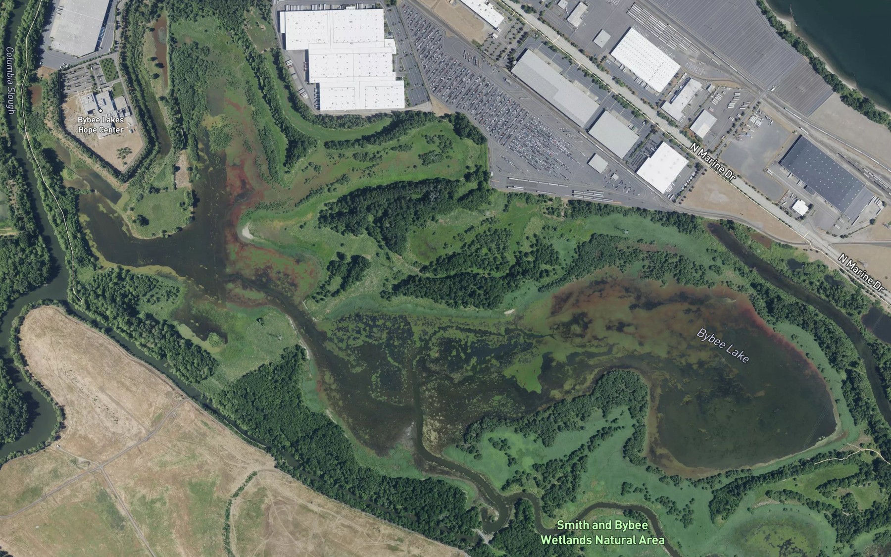 Satellite map of the Bybee Lake