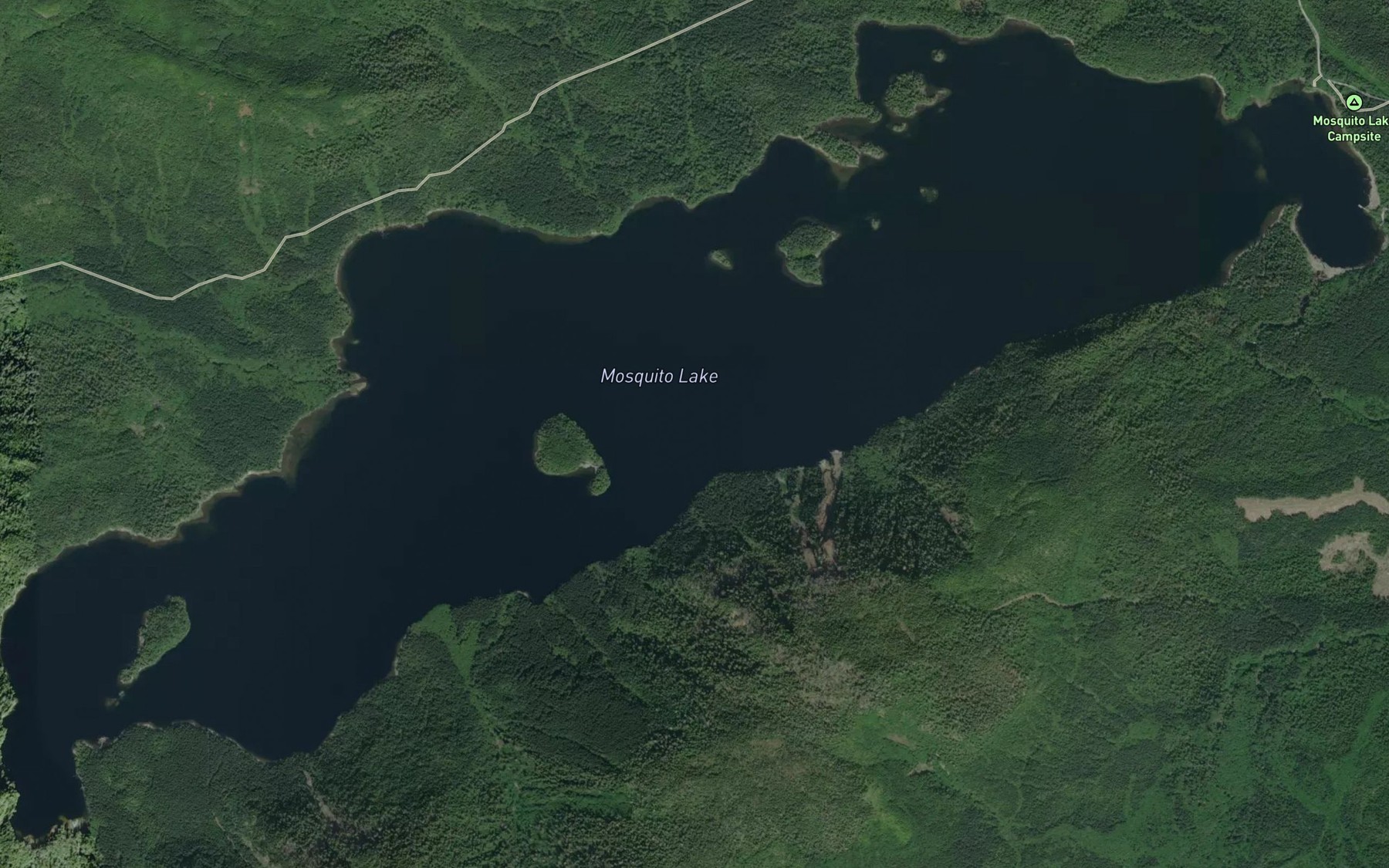 Satellite map of the Mosquito Lake