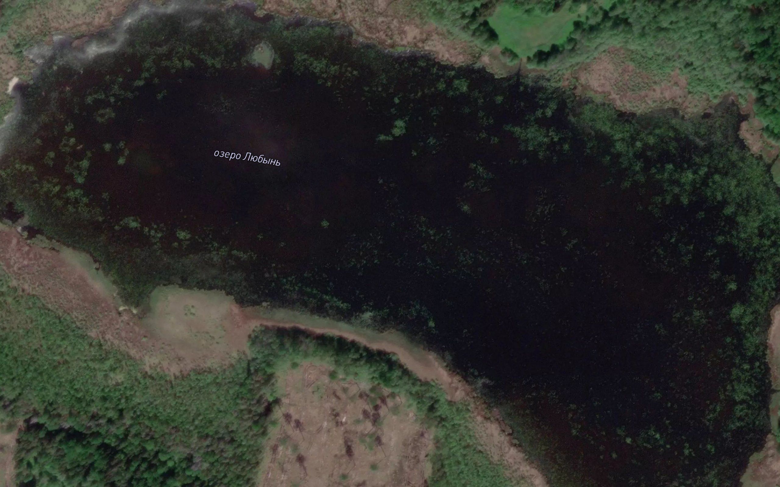 Ozero Lyubyn'
