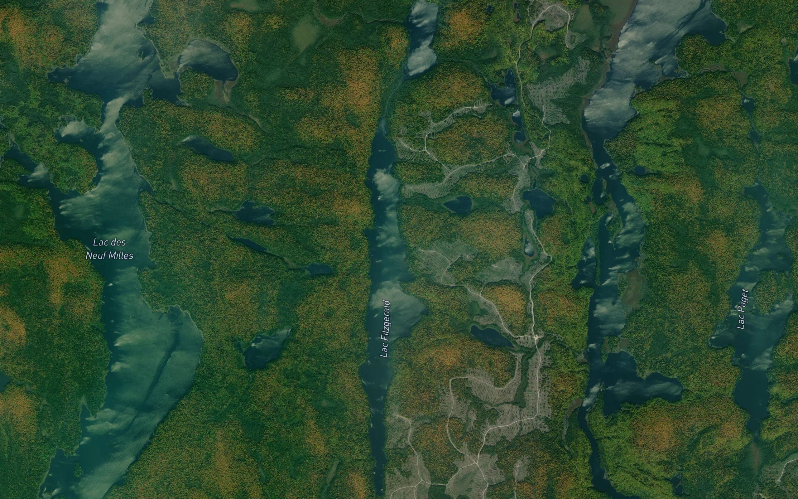 Lac Fitzgerald