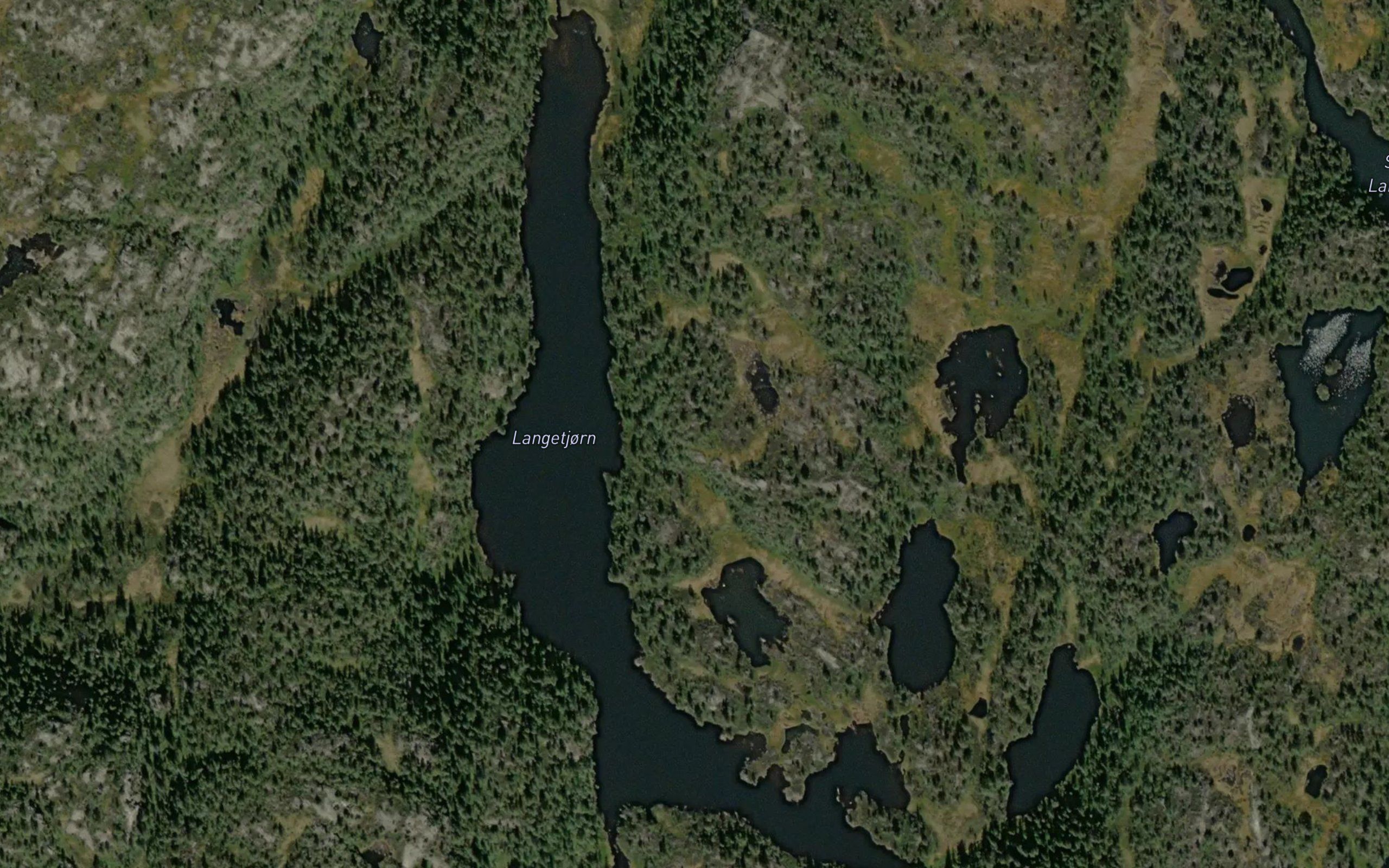 Langetjorn