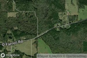 Bee Creek