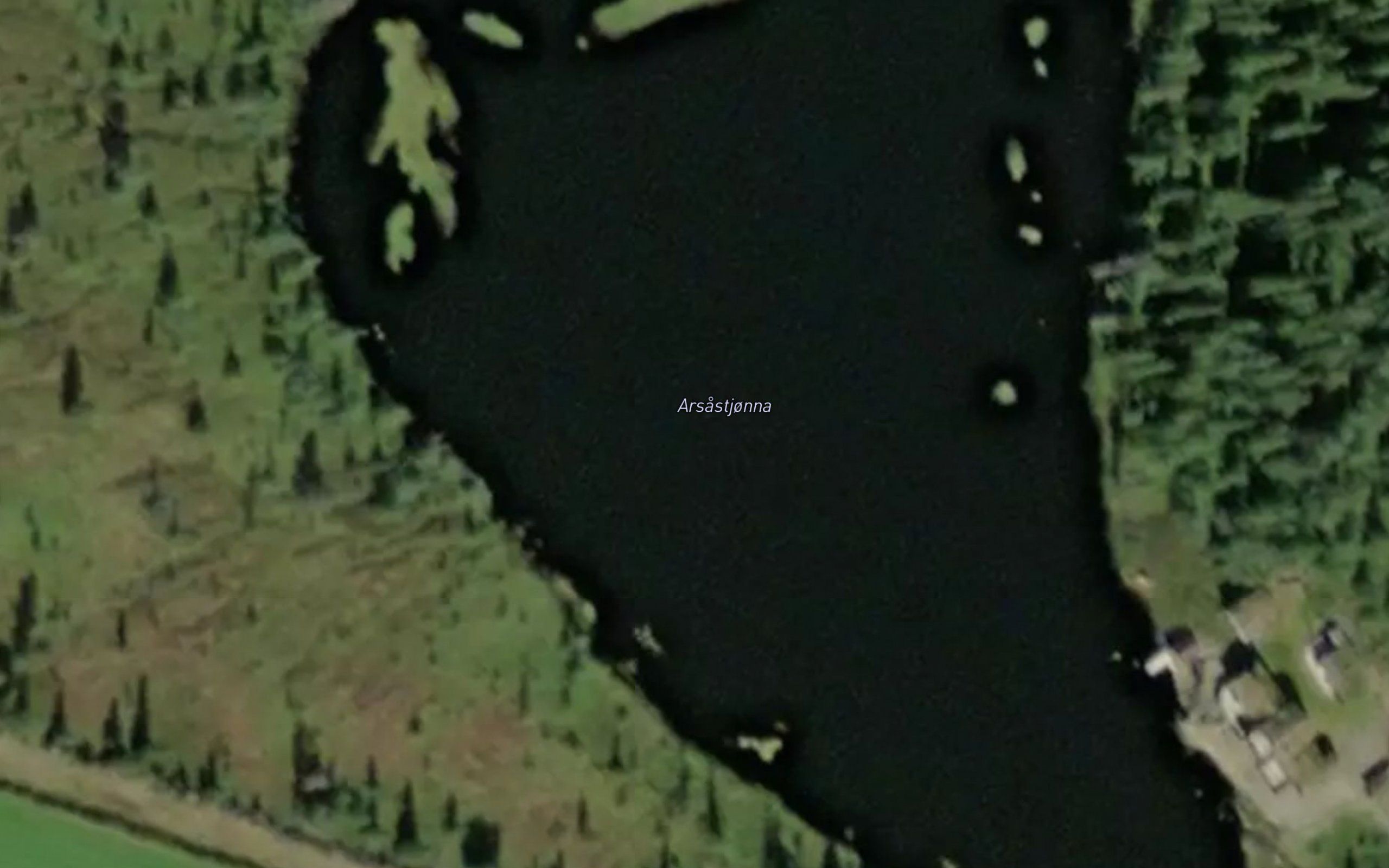 Arsastjorna