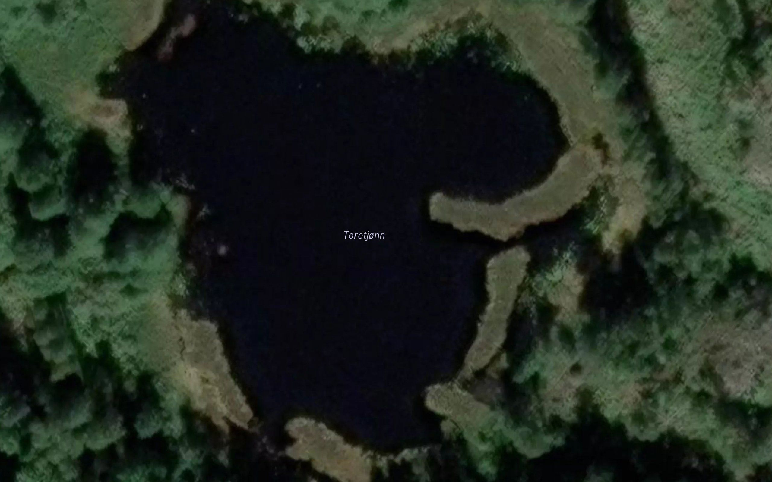 Toretjonn