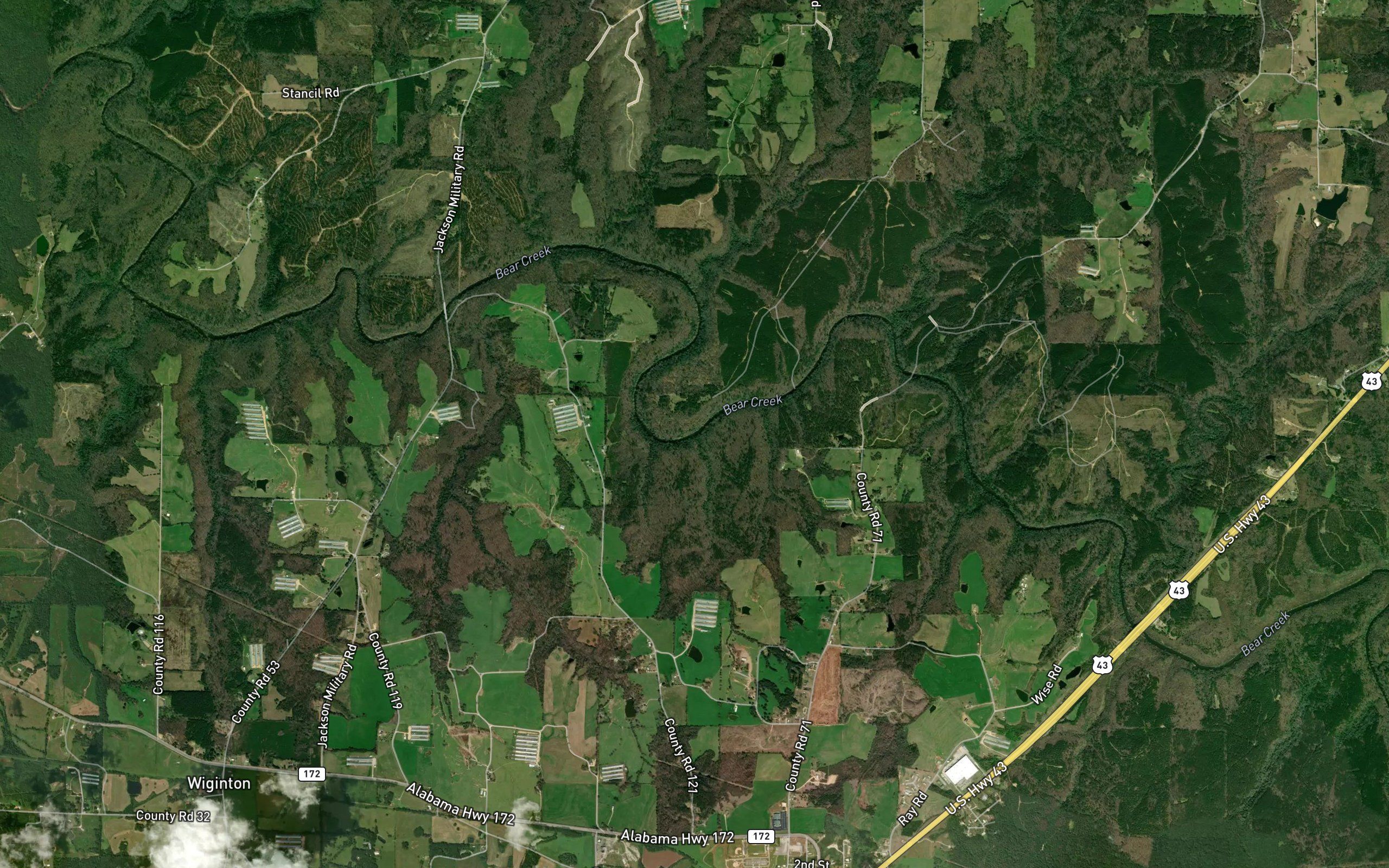 Bluff Spring Branch