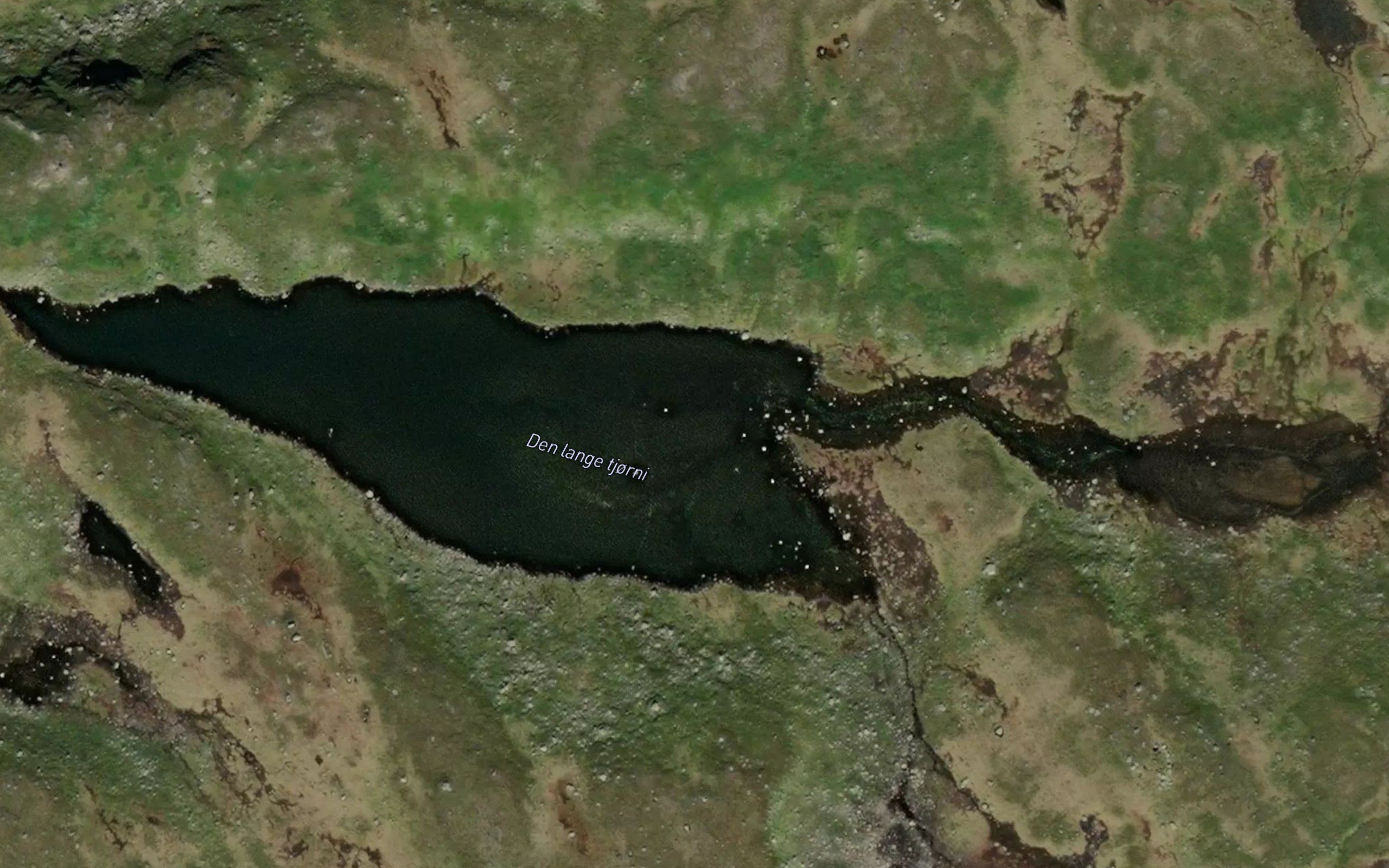 Den lange tjorni