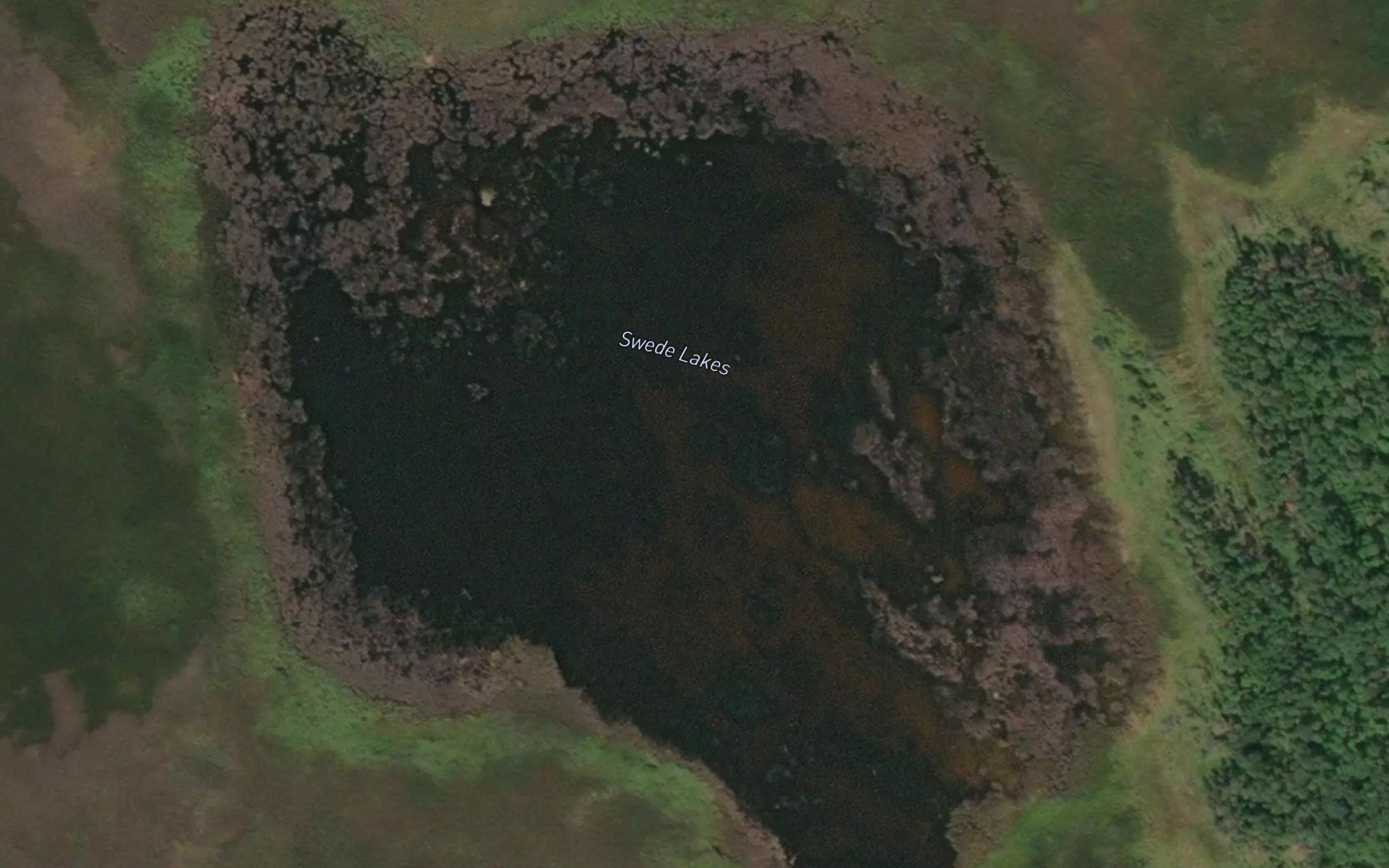 Swede Lakes