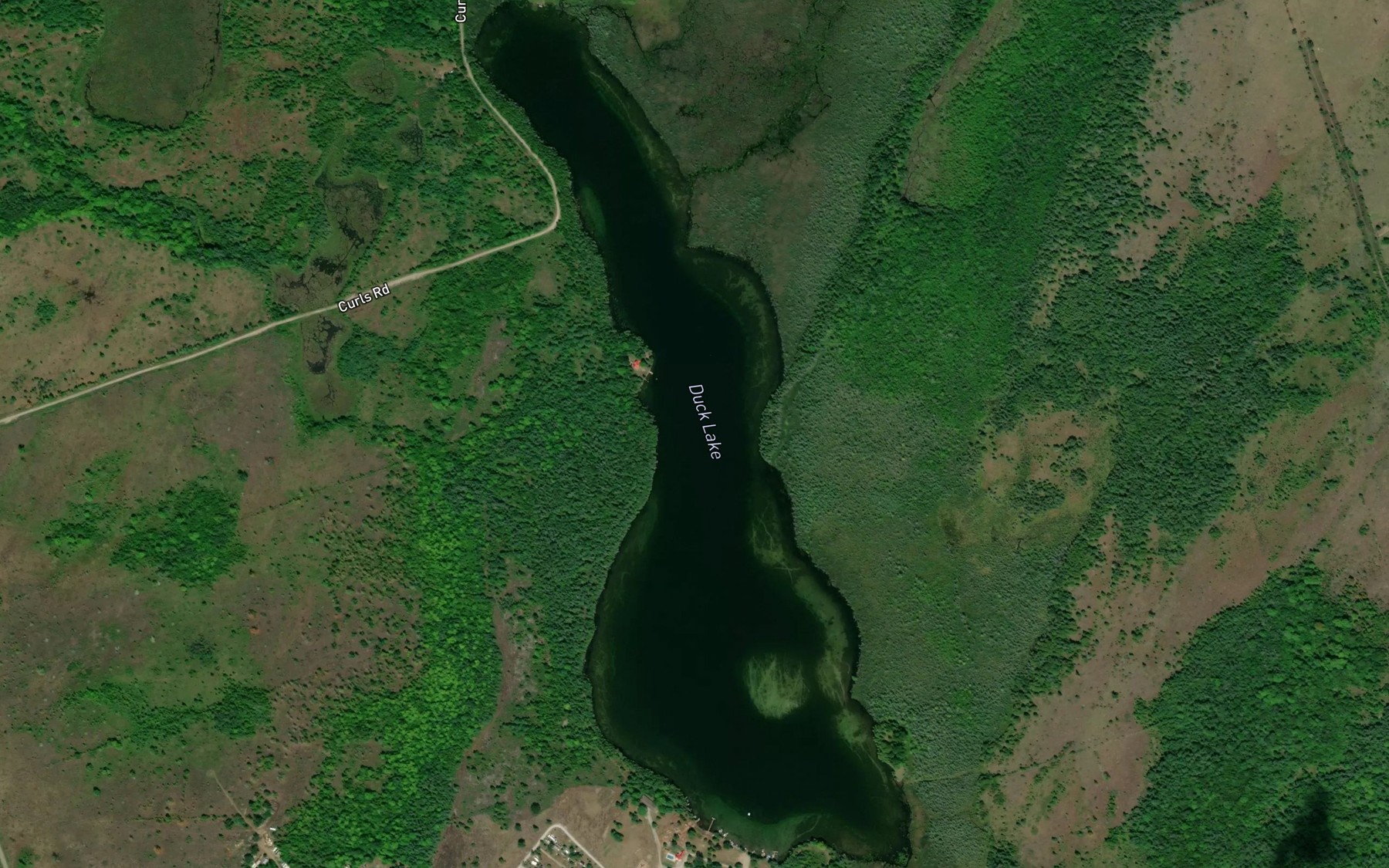 Satellite map of the Duck Lake