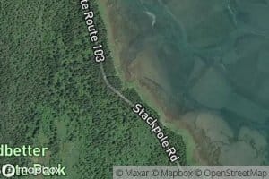 Stackpole Slough