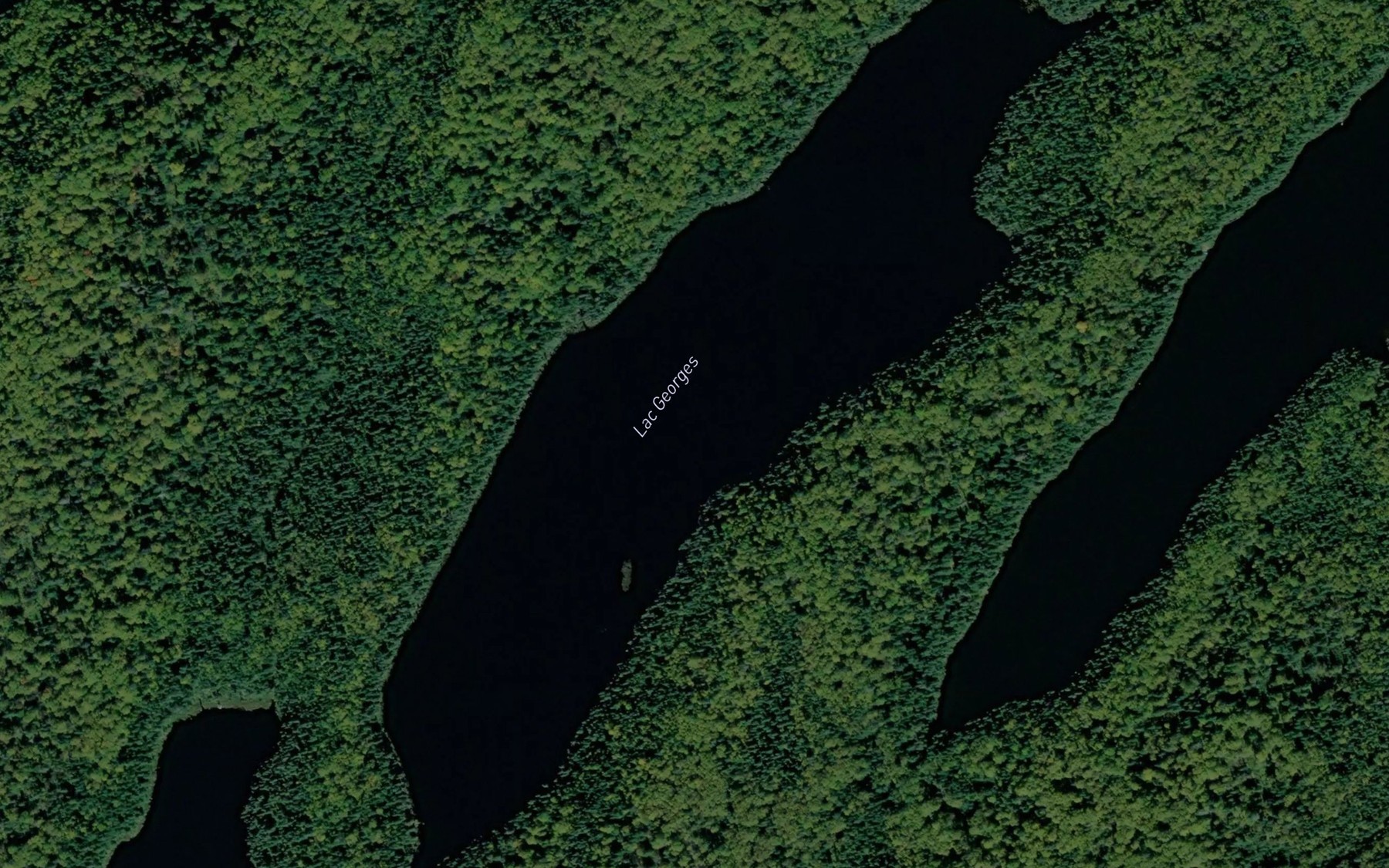 Satellite map of the Lac Georges
