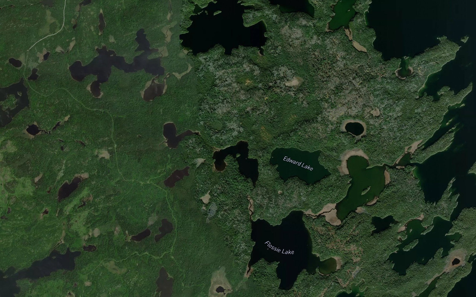 Satellite map of the George Lake