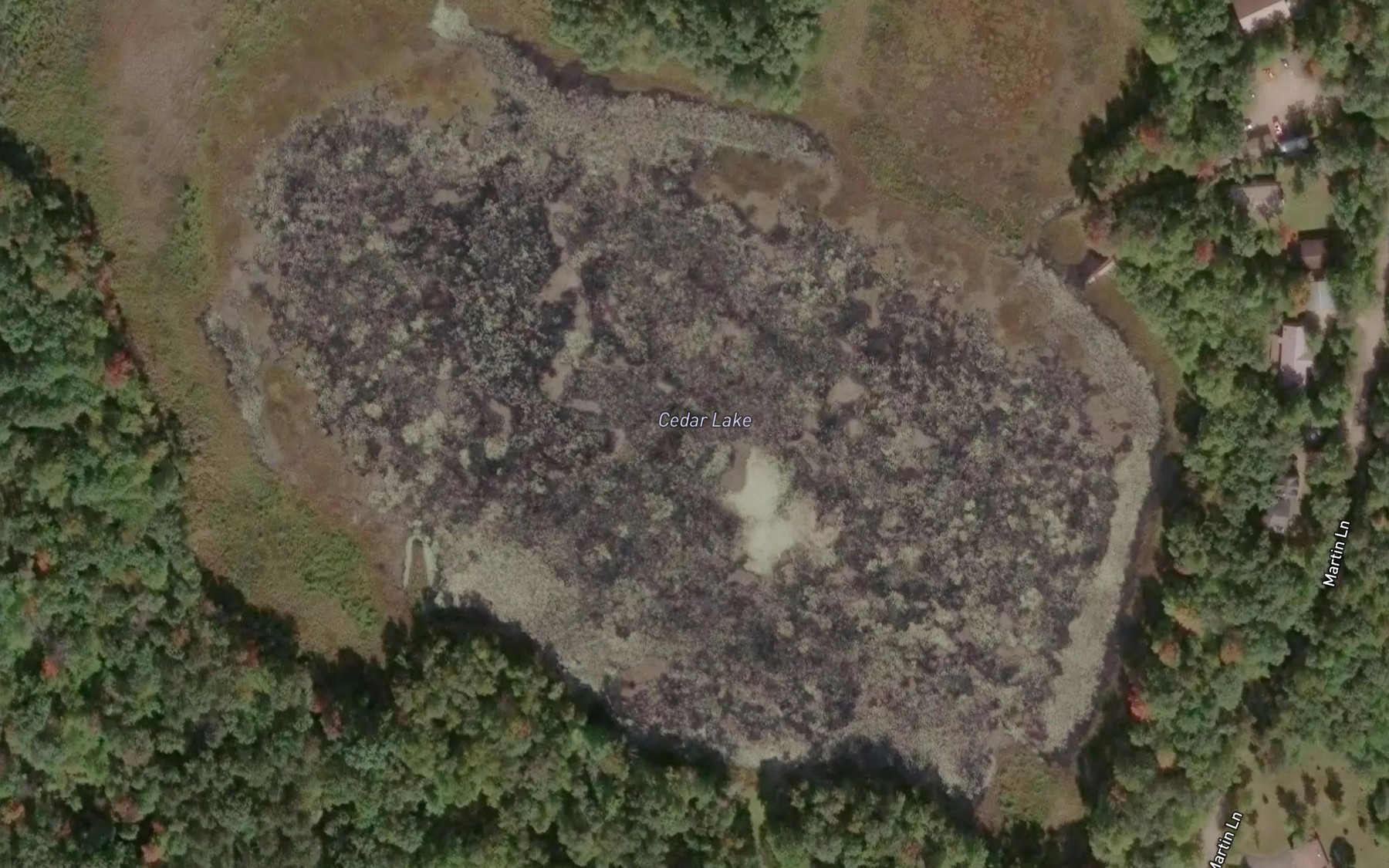 Satellite map of the Cedar Lake
