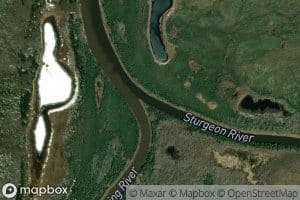 Sturgeon River