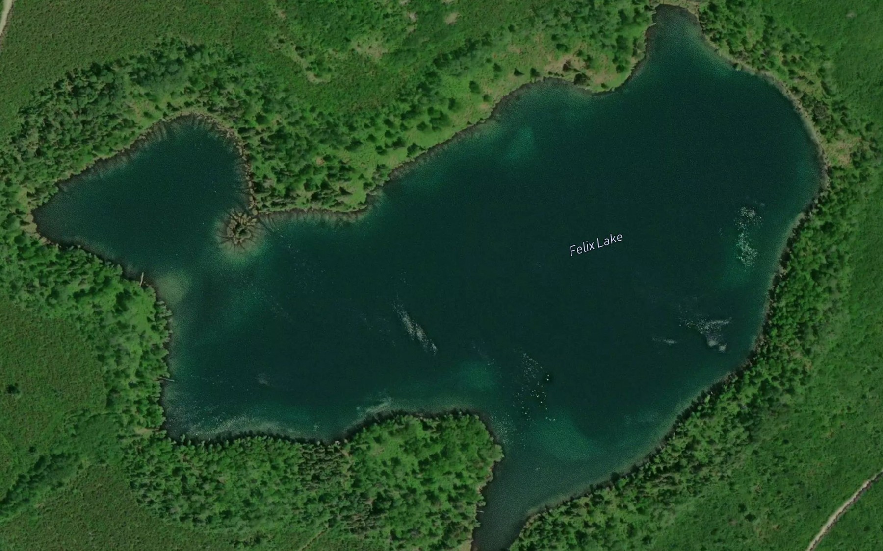 Satellite map of the Felix Lake