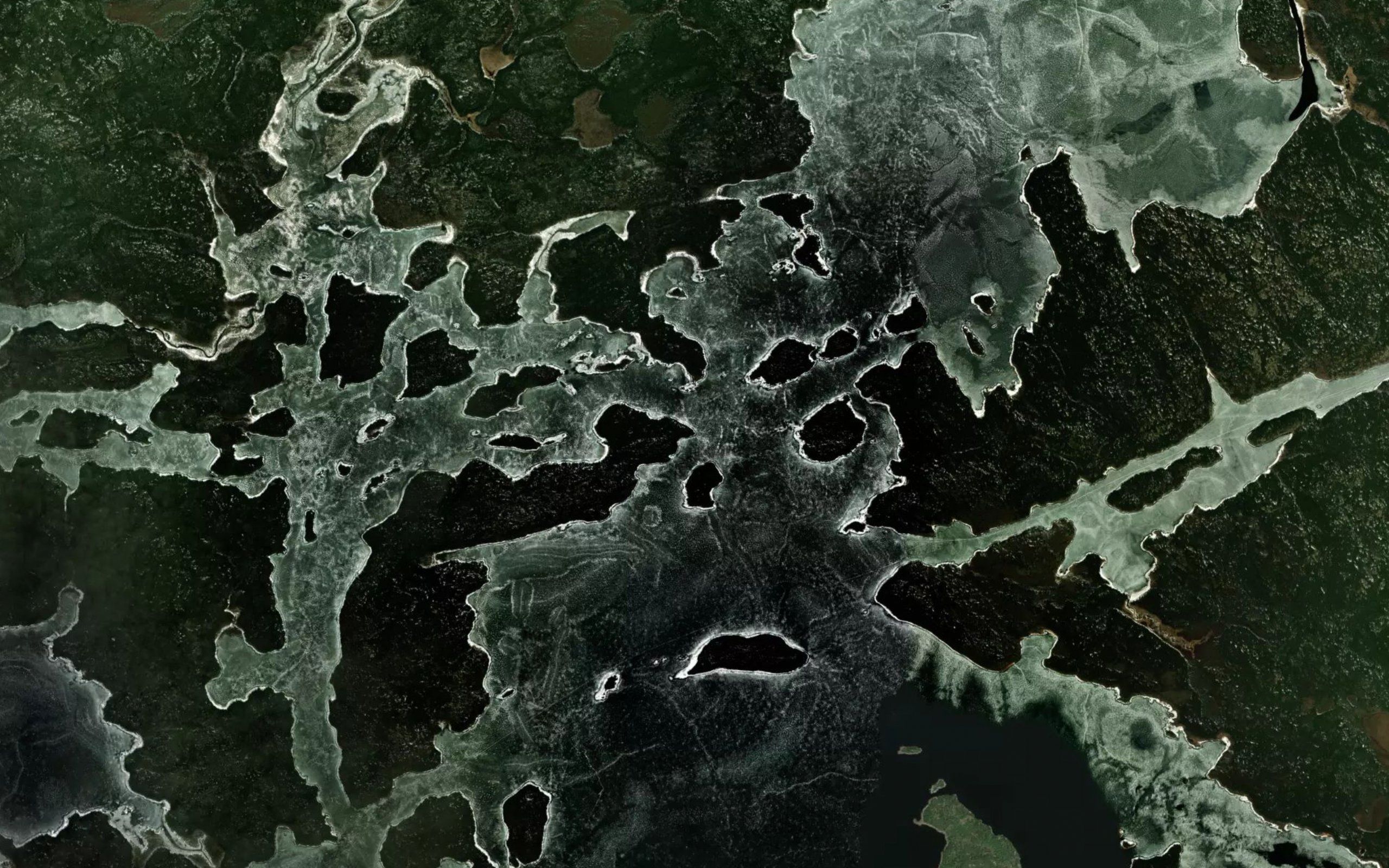 Stout Lake