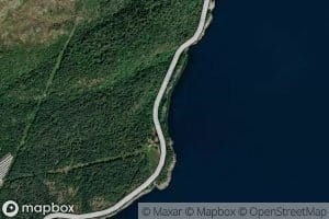 Alvika