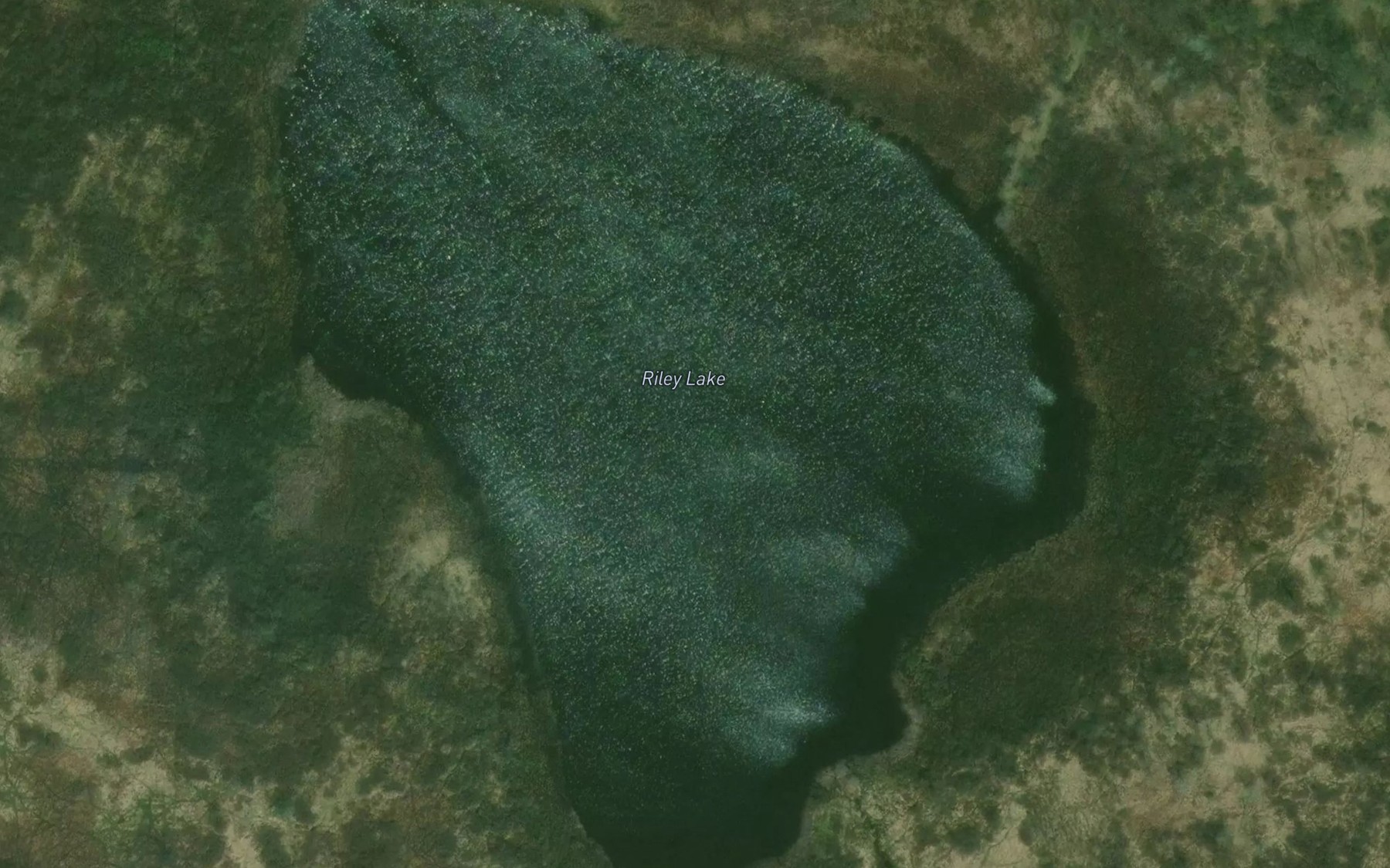Satellite map of the Riley Lake