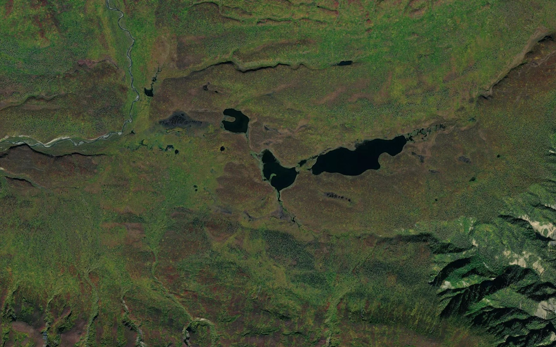 Satellite map of the Big Bend Lakes