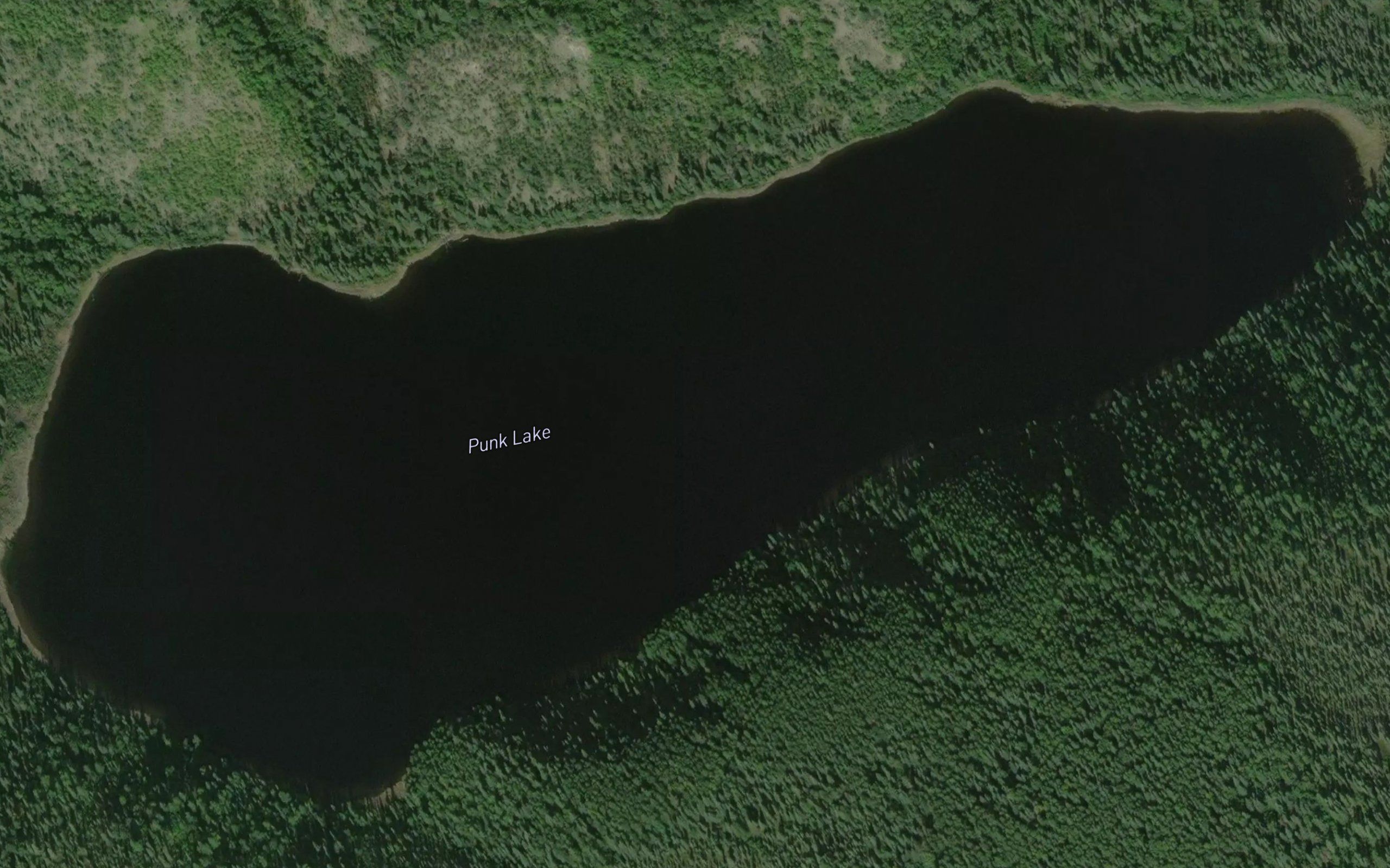 Punk Lake