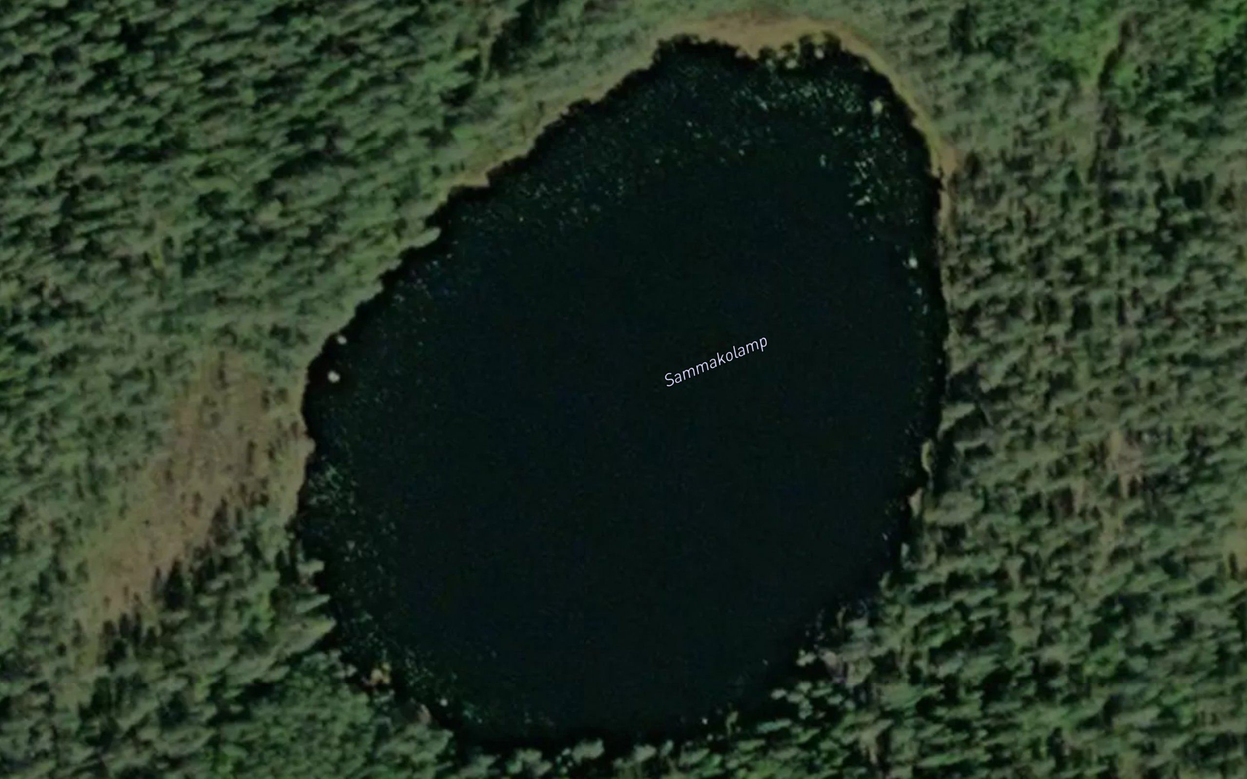 Sammakolamp