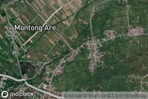 Lapan Pakukeling