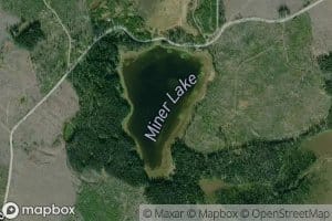 Miner Lake