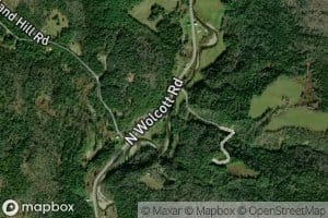Tamarack Brook