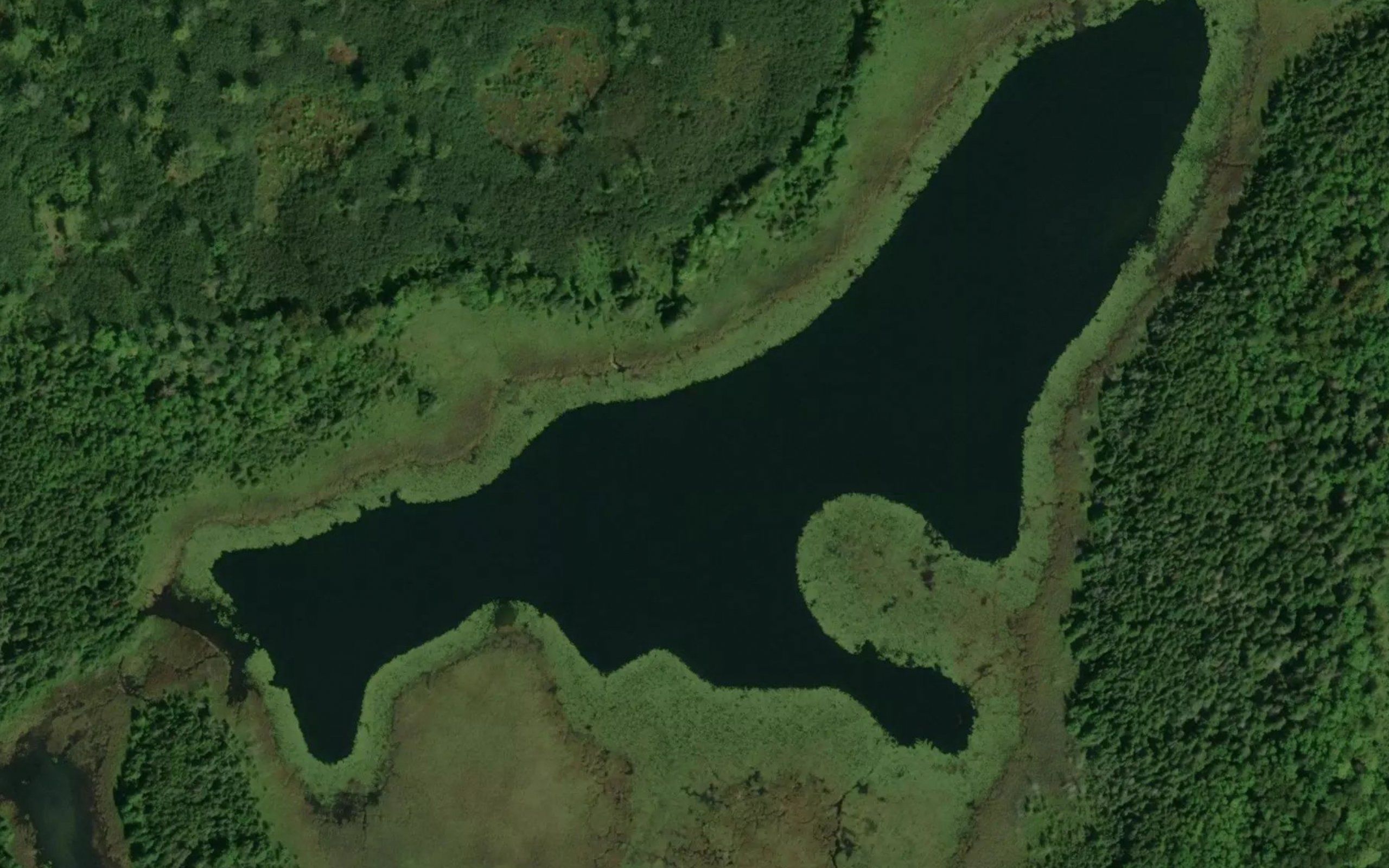 Haynes Lake