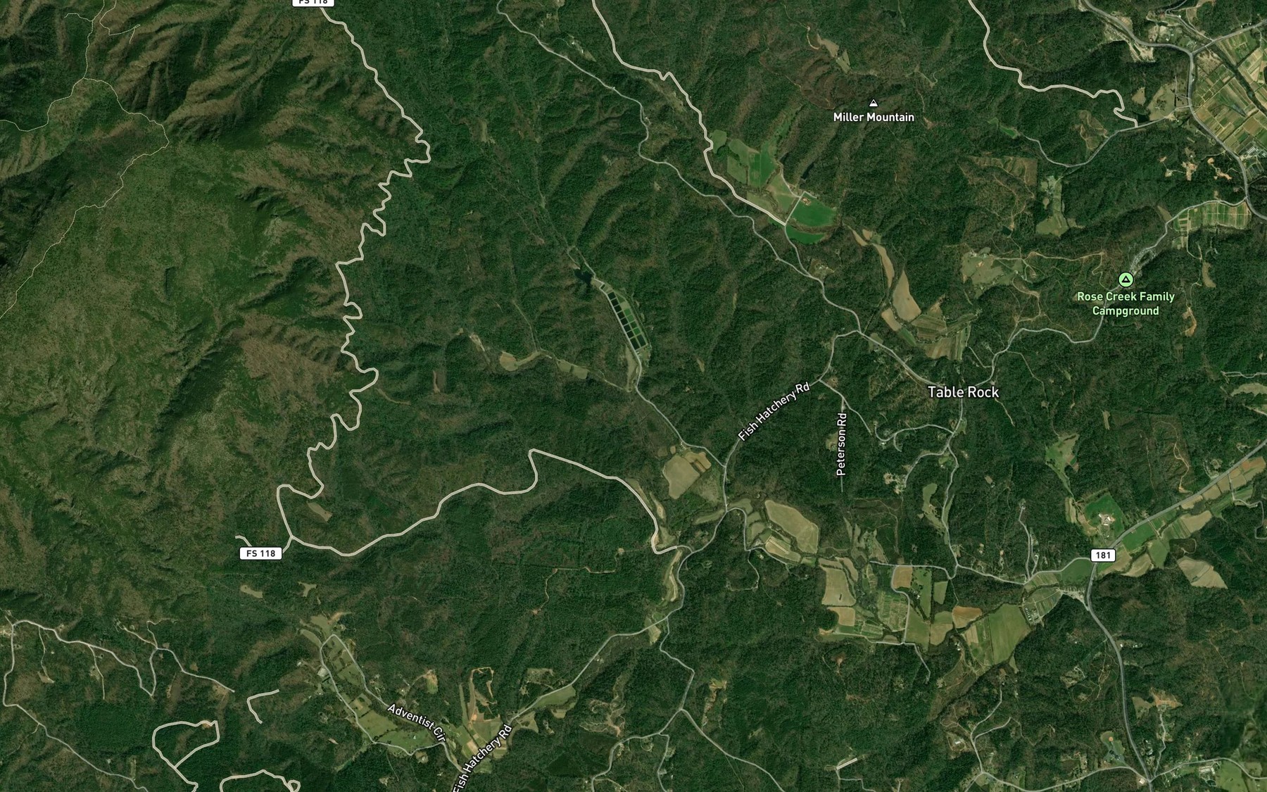 Satellite map of the Reedys Fork