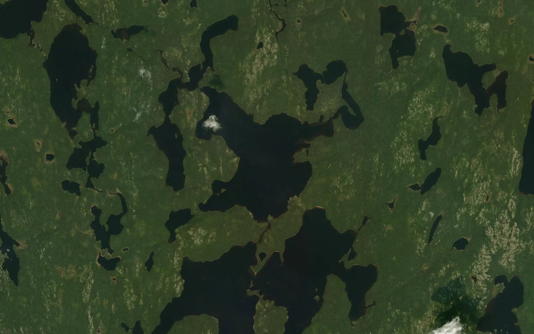 Satellite map of the Lac Albert