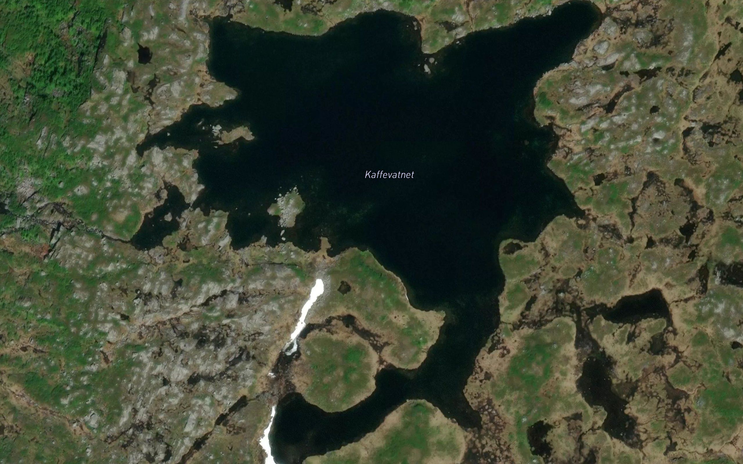 Kaffivatnet