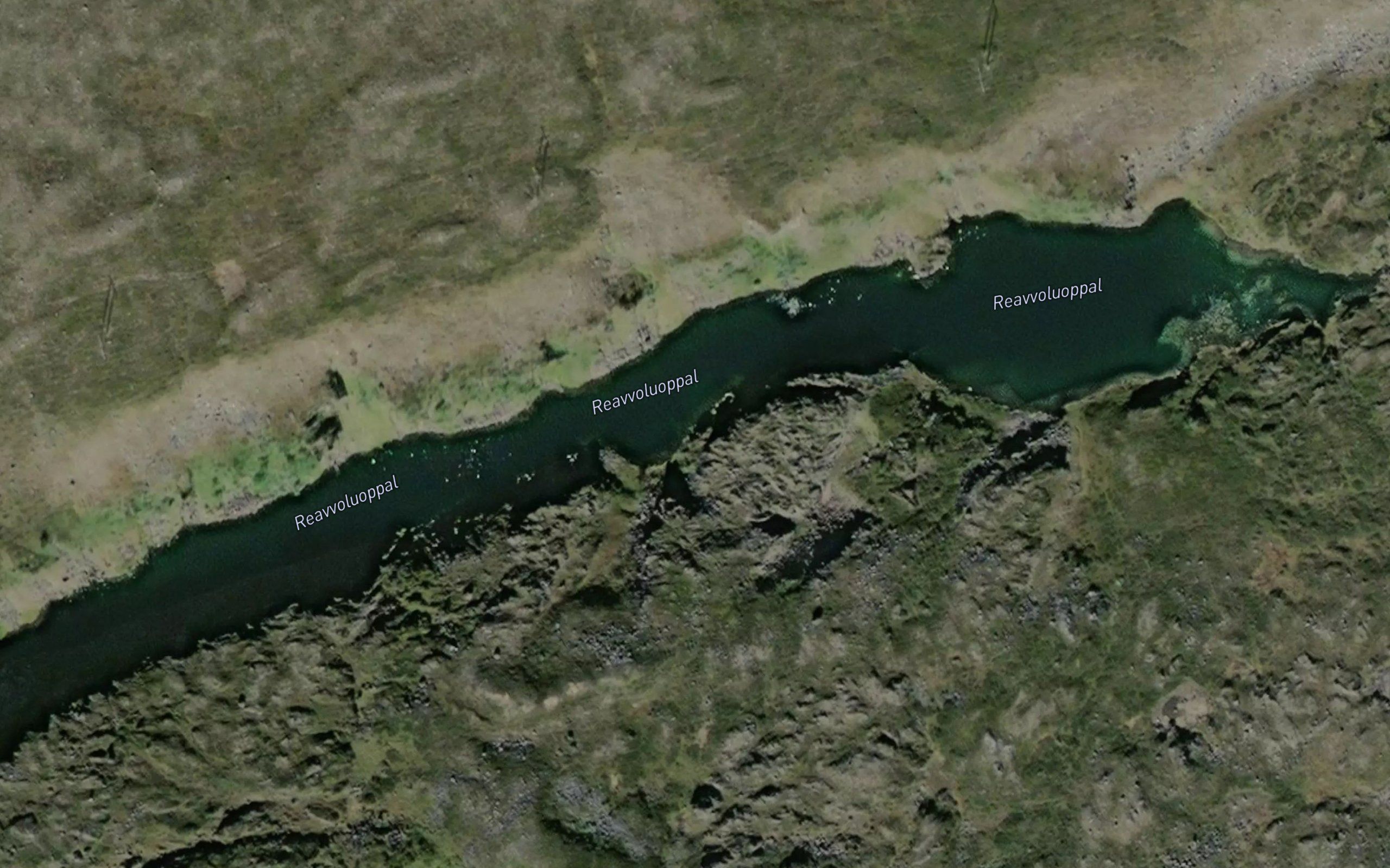 Raevuluobbal