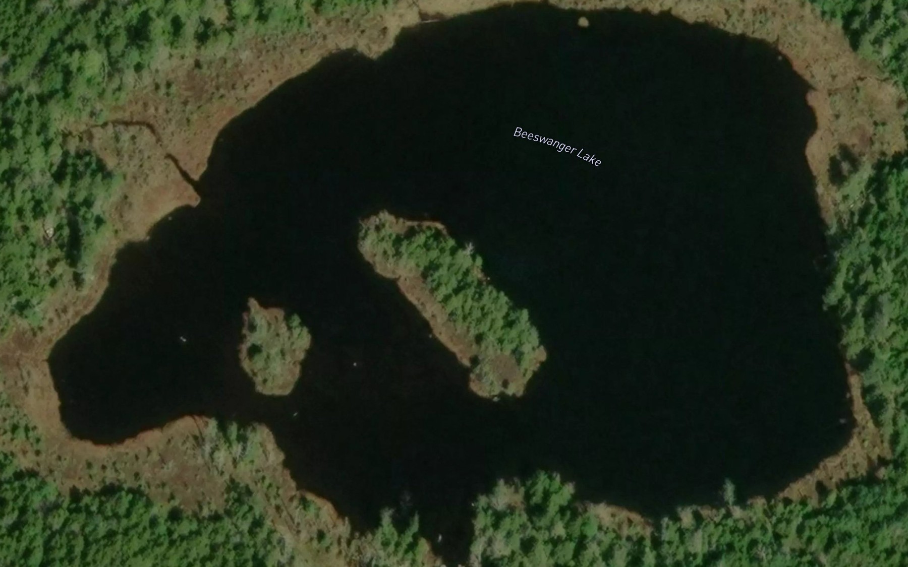 Satellite map of the Beeswanger Lake