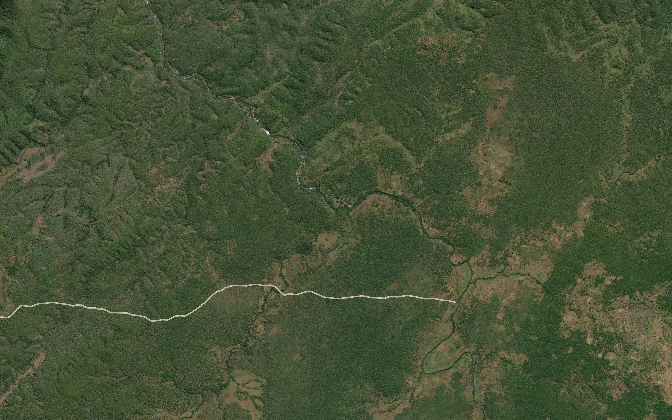 Kitunga